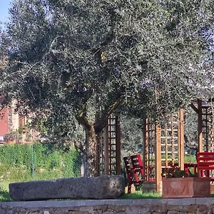  Apartment Il Pintello Italien